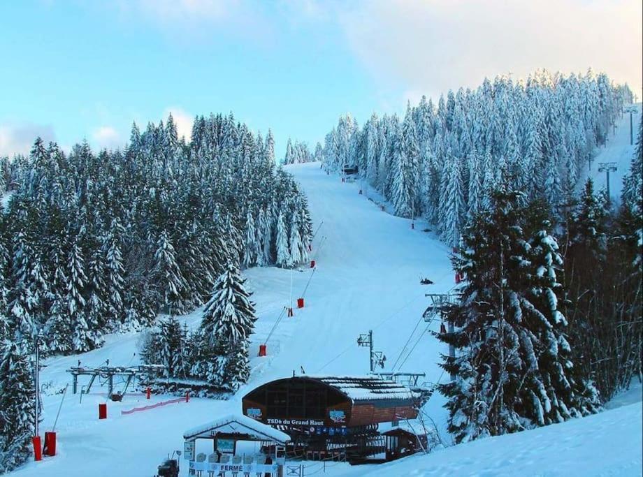 Appartement Proche Du Centre Ville Et Du Lac Gérardmer Zewnętrze zdjęcie